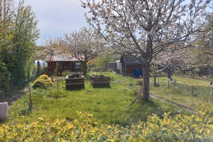 Kleingarten in der Kolonie Pupke Parzelle 1, frei - Eckernförde