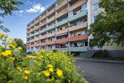 Wohnung zum Mieten in Olbersdorf 300,00 € 40 m²