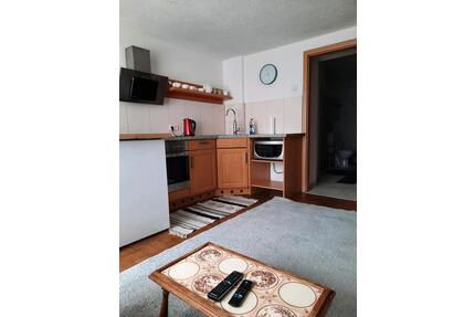 Appartement zu Vermietung - 390,00&nbsp;EUR Kaltmiete, ca.&nbsp; 25,00&nbsp;m&sup2; in Monzelfeld (PLZ: 54472)