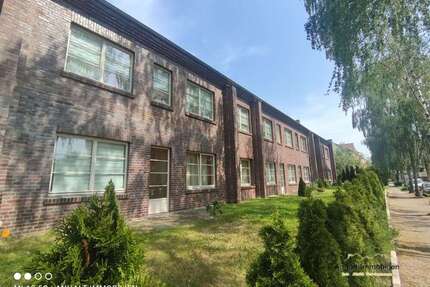 Wohnung zum Mieten in Bitterfeld 265,00 € 34.9 m²