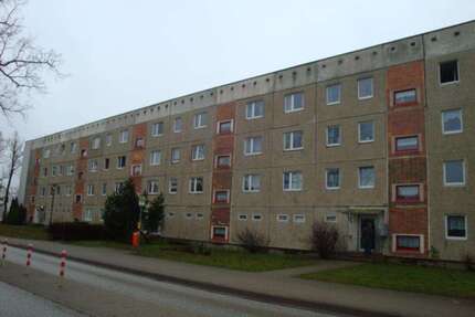 Wohnung zum Mieten in Velgast 376,80 € 75.36 m²