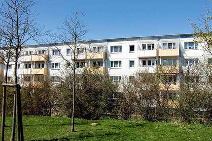 Wohnung zum Mieten in Prenzlau 350,00 € 49.57 m²