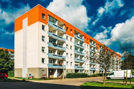 Frisch renoviert - Wohnung wartet auf neuen Bewohner - Greifswald Groß Schönwalde