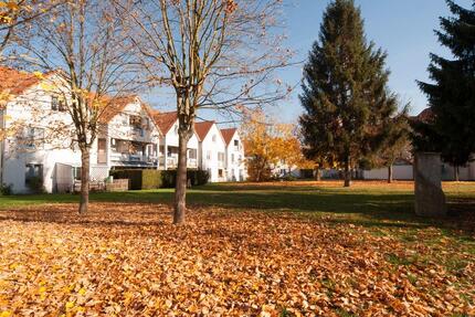 Geräumige 2-Zimmer-Dachgeschosswohnung mit Balkon! - Northeim