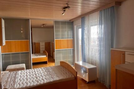 Möblierte Wohnung 3,5 Zimmer, hell, in einem Mehrfamilienhaus - Sachsenheim
