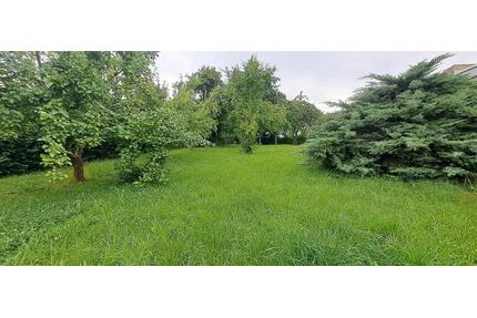 Vermiete Verpachte Baugrundstück z.B. für Tiny - Haus House - Löbau