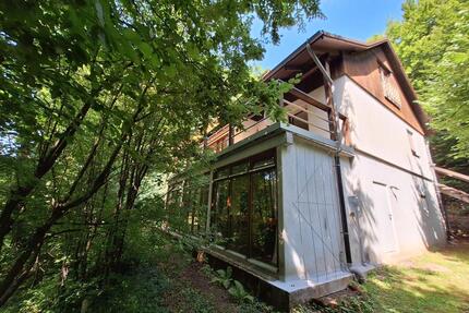 Idyllisches Anwesen m. Pferdestall & gr.Baugrundstück –Prov. frei - Bad Bergzabern