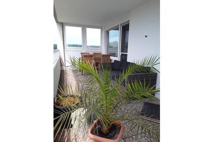 TRAUMHAFTES ⭐️⭐️⭐️⭐️ PENTHOUSE - 199.000,00&nbsp;EUR Kaufpreis, ca.&nbsp; 80,00&nbsp;m&sup2; in Hirschau (PLZ: 92242)