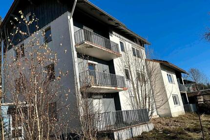 Mehrfamilienhaus - 299.000,00&nbsp;EUR Kaufpreis, ca.&nbsp; 400,00&nbsp;m&sup2; in Spiegelau (PLZ: 94518)