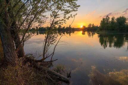 FAMILIENWOHNEN AM GRILLENSEE | 4–5 Zimmer ab 99 m² | Natur, Ruhe & viel Platz – nur wenige Minuten von Leipzig - Naunhof