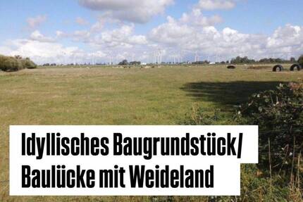 Idyllisches Baugrundstück Baulücke mit Weideland - Friedrichskoog