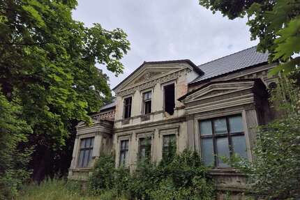 Haus zum Kaufen in Egeln 290.000,00 € 941 m²