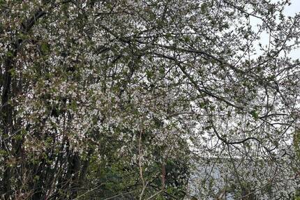 Exklusive Baugrundstück in Behringhausen, Castrop-Rauxel