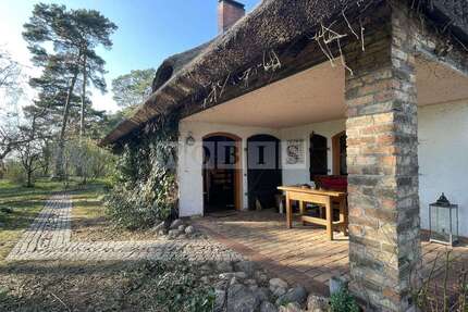 Haus zum Kaufen in Leopoldshagen 349.000,00 € 117.65 m²