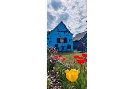 Garten liebevoll gestaltet - 850,00&nbsp;EUR Kaltmiete, ca.&nbsp; 0,00&nbsp;m&sup2; in Chemnitz (PLZ: 09127) Adelsberg