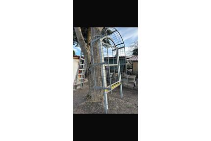 Großer Metall Rosenbogen Gartentor mit Tür – verzinkt - Augsburg Haunstetten-Siebenbrunn