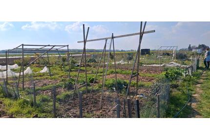 Kleingärten in Bornheim Uedorf zu verpachten