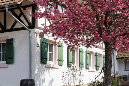 Charmante Ferienwohnung Lahr Schwarzwald Region Europapark - Lahr (Schwarzwald)