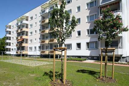 Wohnung zum Mieten in Neubrandenburg 480,00 € 76.43 m²