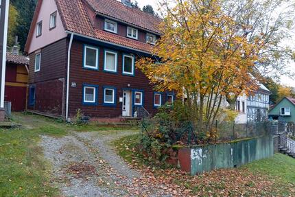 renovierungsbexürftiges Einfamilienhaus in Bad Grund - Bad Grund (Harz)