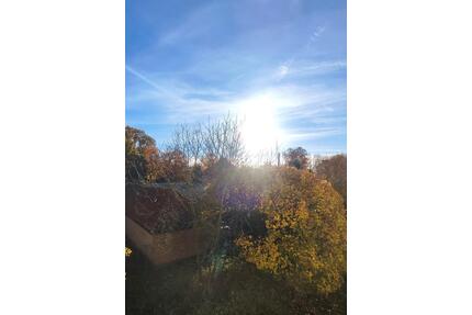 Wohnen Sie den ersten Monat mietfrei. Sehr gepflegte 4-Zimmer Wohnung in toller Hausgemeinschaft zu vermieten - Hagenow