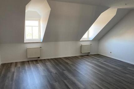 Am Park! Günstige DG 2-Zi. mit Aufzug, Laminat, Abstellraum und Dusche! EBK gegen Aufpreis mgl - Chemnitz Hilbersdorf