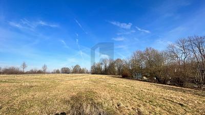 WOHNEN, ARBEITEN UND GESTALTEN IN EINEM KONZEPT - Frielendorf