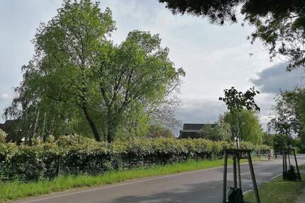 Doppelhauspartner gesucht! + Noch 1 Erbbaurecht + Grüne Lage am Stadtrand - Ahrensfelde Lindenberg