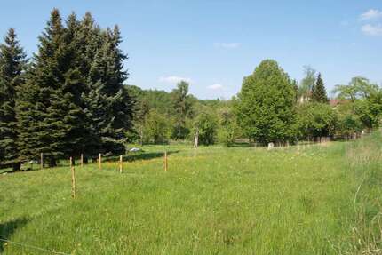 Grundstück zu verkaufen in Limbach-Oberfrohna 58.000,00 € 1000 m²