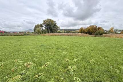 Grundstück in Bopfingen Trochtelfingen 40.000,00 € 4426 m² - Bopfingen / Trochtelfingen