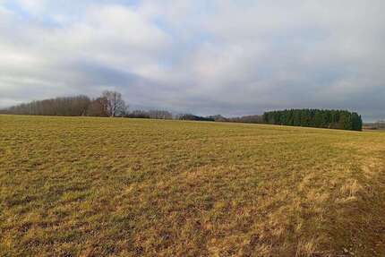 Grundstück in Mainburg 100.000,00 € 20000 m²