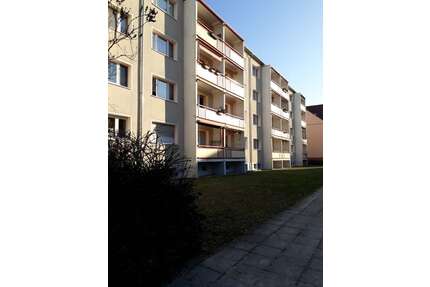 Wohnung zum Mieten in Cottbus 578,00 € 60 m²