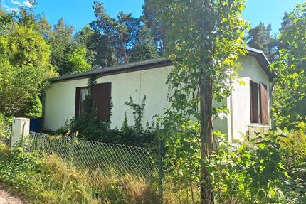 Plötzky Bungalow Grüner Waldsee - Gommern