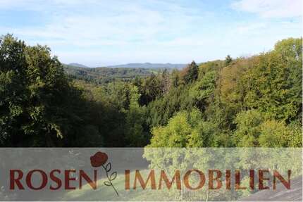Wohnung zum Mieten in Wald-Michelbach 380,00 € 40 m²