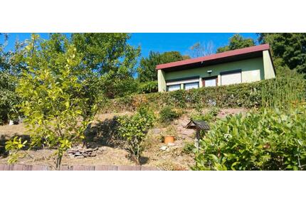 Pachtgarten in Schmalkalden - 1.800,00&nbsp;EUR Kaltmiete, ca.&nbsp; 0,00&nbsp;m&sup2; in Schmalkalden (PLZ: 98574)