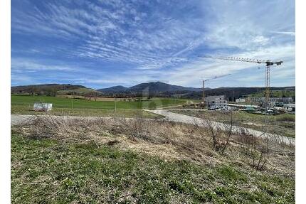 VIEL PLATZ FÜR IHRE TRÄUME - NÄHE KLINIKUM - Müllheim