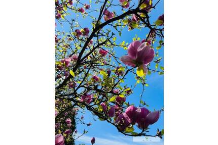 Gepflegter Wohnkomfort einer EG-Wohnung in ruhiger Nachbarschaft von Werl-Büderich