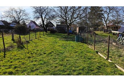 Nachverpachtung Freizeitgrundstück (Zellhausen) - Mainhausen