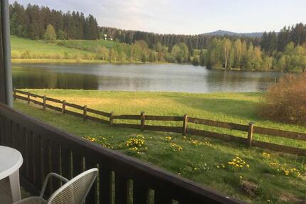 Wohnung direkt am See zu vermieten - Haidmühle