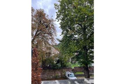 Wohnung zum Kaufen in Heidelberg 699.000,00 € 100 m²