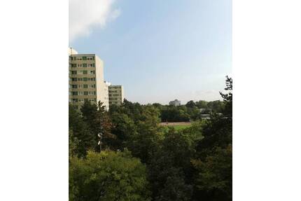 Helle und gut geschnittene Wohnung mit Einbauküche sucht neue Eigentümer!! - Ludwigshafen am Rhein / Pfingstweide