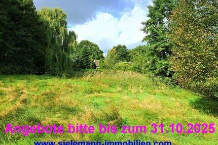 Naturnahes Grundstück mit Grünland und Waldanteil - Lamstedt Hackemühlen