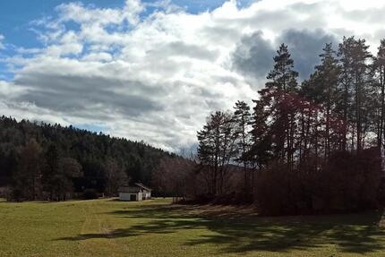 FAST-ALLEINLAGE im GRÜNEN, EFH mit Nebengebäude, 1200qm Grundstüc - Neumarkt in der Oberpfalz Altenhof
