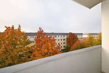 Wohnung zum Mieten in Halle (Saale) 341,76 € 56.96 m²