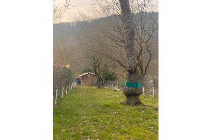 Garten in Nierven (56132) - 350,00&nbsp;EUR Kaltmiete, ca.&nbsp; 0,00&nbsp;m&sup2; in Becheln (PLZ: 56132)