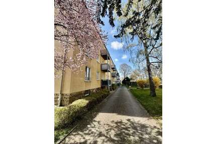 Wohnung zum Kaufen in Dresden 180.000,00 € 67 m²