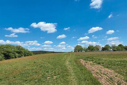 Landwirtschaftsflächen - 700,00&nbsp;EUR Kaltmiete, ca.&nbsp; 0,00&nbsp;m&sup2; in Merzig (PLZ: 66663)