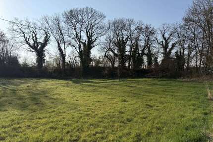 Grundstück zu verkaufen in Münstermaifeld 370.000,00 € 2454 m²