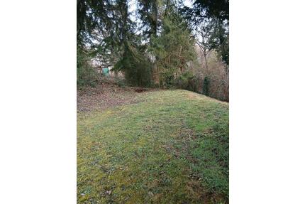 Garten zu verpachten mıt kleıne hütte ın Asperg - Tamm