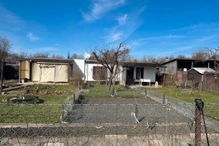 Pachtgarten in Forst (Lausitz) 400m2